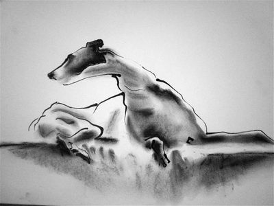 Ink on Paper - Sighthound - Tony by Diana Shepherd